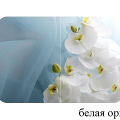 БОСТОН опоры Триумф в Соликамске - solikamsk.mebel24.online | фото 13