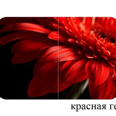БОСТОН опоры Триумф в Соликамске - solikamsk.mebel24.online | фото 27