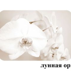 БОСТОН опоры Триумф в Соликамске - solikamsk.mebel24.online | фото 33