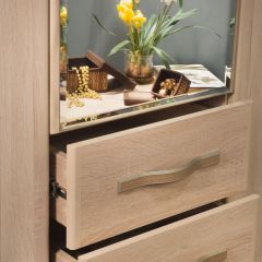 ДИАНА Д11 Шкаф для одежды в Соликамске - solikamsk.mebel24.online | фото 5
