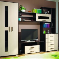 Гостиная ЕВРОПА-1 (Венге/Дуб молочный) в Соликамске - solikamsk.mebel24.online | фото