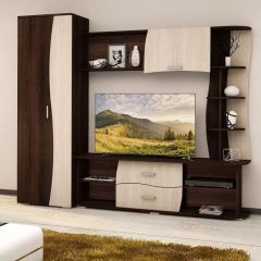 Гостиная ГАРМОНИЯ-3 (ЦРК.ГРМ.03) в Соликамске - solikamsk.mebel24.online | фото 3