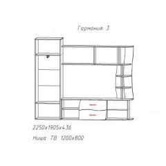 Гостиная ГАРМОНИЯ-3 (ЦРК.ГРМ.03) в Соликамске - solikamsk.mebel24.online | фото 2