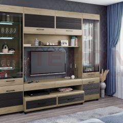 Гостиная Камелия Композиция 11 (Гикори Джексон светлый комбинированный) в Соликамске - solikamsk.mebel24.online | фото