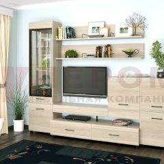 Гостиная Камелия Композиция 5 (Ясень Асахи) в Соликамске - solikamsk.mebel24.online | фото