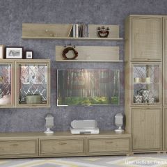 Гостиная Карина Композиция 1 (Гикори Джексон светлый) в Соликамске - solikamsk.mebel24.online | фото