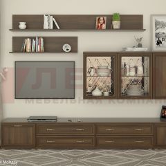 Гостиная Карина Композиция 10 (Акация Молдау) в Соликамске - solikamsk.mebel24.online | фото