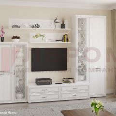 Гостиная Карина Композиция 12 (Снежный ясень) в Соликамске - solikamsk.mebel24.online | фото