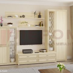 Гостиная Карина Композиция 12 (Ясень Асахи) в Соликамске - solikamsk.mebel24.online | фото