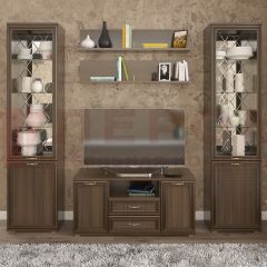 Гостиная Карина Композиция 13 (Акация Молдау) в Соликамске - solikamsk.mebel24.online | фото