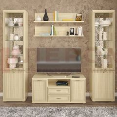Гостиная Карина Композиция 13 (Ясень Асахи) в Соликамске - solikamsk.mebel24.online | фото