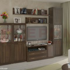 Гостиная Карина Композиция 22 (Акация Молдау) в Соликамске - solikamsk.mebel24.online | фото