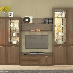 Гостиная Карина Композиция 24 (Акация Молдау) в Соликамске - solikamsk.mebel24.online | фото