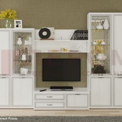 Гостиная Карина Композиция 24 (Снежный ясень) в Соликамске - solikamsk.mebel24.online | фото