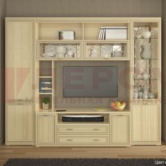 Гостиная Карина Композиция 9 (Ясень Асахи) в Соликамске - solikamsk.mebel24.online | фото