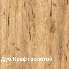 Крафт Полка навесная 15.64 в Соликамске - solikamsk.mebel24.online | фото 3