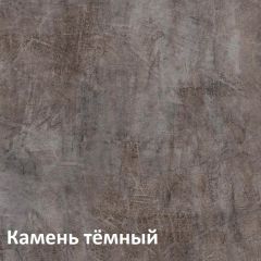 Крафт Полка навесная 15.64 в Соликамске - solikamsk.mebel24.online | фото 4