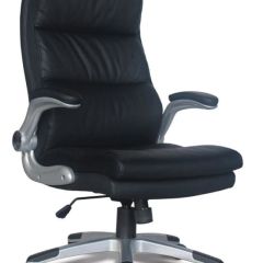 Кресло офисное BRABIX "Fregat EX-510" (рециклированная кожа, черное) 530863 в Соликамске - solikamsk.mebel24.online | фото 1