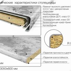 Кухонный фартук со столешницей (А-01) в едином стиле (3050 мм) в Соликамске - solikamsk.mebel24.online | фото 6