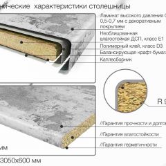 Кухонный фартук со столешницей (А-010) в едином стиле (3050 мм) в Соликамске - solikamsk.mebel24.online | фото 7