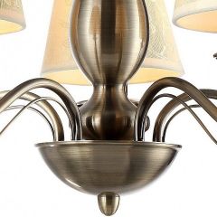Подвесная люстра Arte Lamp Felcia A9368LM-5AB в Соликамске - solikamsk.mebel24.online | фото 4