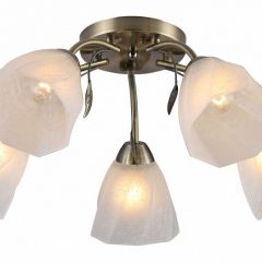 Потолочная люстра Rivoli Olivia Б0052693 в Соликамске - solikamsk.mebel24.online | фото