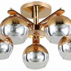 Потолочная люстра Rivoli Zella Б0048219 в Соликамске - solikamsk.mebel24.online | фото