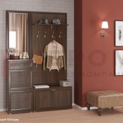 Прихожая Карина композиция 2 (Акация Молдау) в Соликамске - solikamsk.mebel24.online | фото