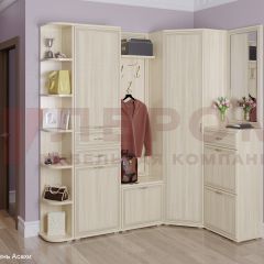 Прихожая Карина композиция 5 (Ясень Асахи) в Соликамске - solikamsk.mebel24.online | фото