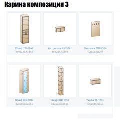 Прихожая Карина (модульная) в Соликамске - solikamsk.mebel24.online | фото 8