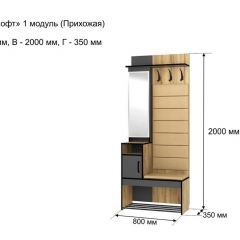 ОЛЬГА-ЛОФТ 1 Прихожая в Соликамске - solikamsk.mebel24.online | фото 4