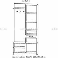 Прихожая София 1 в Соликамске - solikamsk.mebel24.online | фото 3