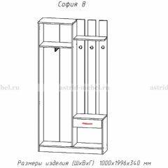 Прихожая София 8 в Соликамске - solikamsk.mebel24.online | фото 2