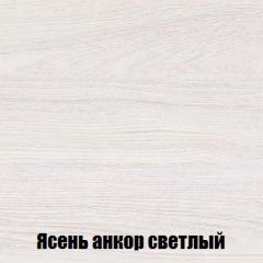 Шкаф 2-х створчатый МСП-1 (Ясень Анкор светлый) в Соликамске - solikamsk.mebel24.online | фото 4