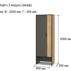 ОЛЬГА-ЛОФТ 3 Шкаф 2-х створчатый в Соликамске - solikamsk.mebel24.online | фото 4