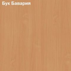 Шкаф для документов с нижними дверями Логика Л-9.3 в Соликамске - solikamsk.mebel24.online | фото 3
