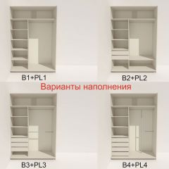 Шкаф-купе 1400 серии SOFT D6+D6+B2+PL3 (2 ящика+2штанги) профиль «Капучино» в Соликамске - solikamsk.mebel24.online | фото 6
