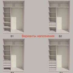 Шкаф-купе 1500 серии SILVER S3+S4+B2+PL4 (2 ящика+F обр.штанга) профиль «Серебро» в Соликамске - solikamsk.mebel24.online | фото 5