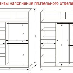 Шкаф-купе 1600 серии SOFT D6+D4+B2+PL2 (2 ящика+1штанга+1 полка) профиль «Капучино» в Соликамске - solikamsk.mebel24.online | фото 9
