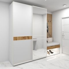 Шкаф-купе 1600 серии SOFT D6+D4+B2+PL2 (2 ящика+1штанга+1 полка) профиль «Капучино» в Соликамске - solikamsk.mebel24.online | фото 5