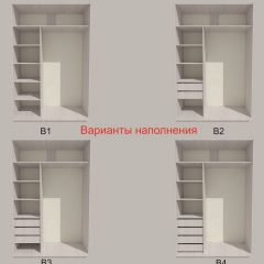 Шкаф-купе 1700 серии SILVER S1+S1+B2+PL2 (2 ящика+1 штанга+1 полка) профиль «Серебро» в Соликамске - solikamsk.mebel24.online | фото 5