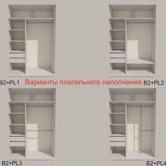 Шкаф-купе 1700 серии SILVER S1+S1+B2+PL2 (2 ящика+1 штанга+1 полка) профиль «Серебро» в Соликамске - solikamsk.mebel24.online | фото 6