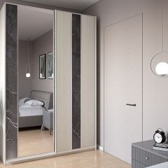 Шкаф-купе 1700 серии SILVER S3+S4+B2+PL4 (2 ящика+F обр.штанга) профиль «Серебро» в Соликамске - solikamsk.mebel24.online | фото