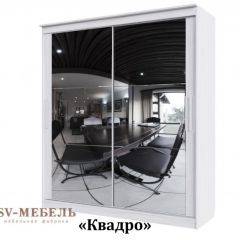 Шкаф-купе №19 Серия 3 Квадро (1700) Ясень Анкор светлый в Соликамске - solikamsk.mebel24.online | фото