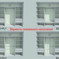 Шкаф-купе 1950 серии SILVER S3+S1+S4 B22+PL3 (по 2 ящика лев/прав+2 штанги) профиль «Серебро» в Соликамске - solikamsk.mebel24.online | фото 6