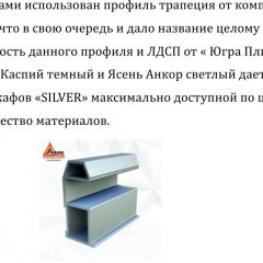 Шкаф-купе 1950 серии SILVER S3+S1+S4 B22+PL3 (по 2 ящика лев/прав+2 штанги) профиль «Серебро» в Соликамске - solikamsk.mebel24.online | фото 4