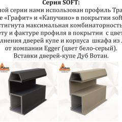 Шкаф-купе 2100 серии SOFT D5+D4+D5+B22+PL3 (по 2 ящика лев/прав+2штанги) профиль «Графит» в Соликамске - solikamsk.mebel24.online | фото 12