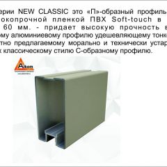 Шкаф-купе 2150 серии NEW CLASSIC K4+K4+K4+B22+PL4(по 2 ящика лев/прав+F обр.штанга) профиль «Капучино» в Соликамске - solikamsk.mebel24.online | фото 17