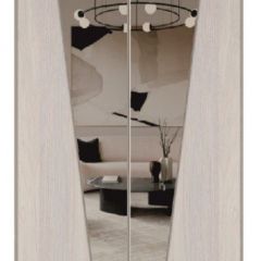 Шкаф-купе 2250 серии SILVER S3+S1+S3Z B22+PL2 (по 2 ящика лев/прав+1штанга+1 полка) профиль «Серебро» в Соликамске - solikamsk.mebel24.online | фото 15