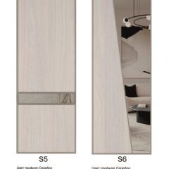 Шкаф-купе 2250 серии SILVER S5+S1+S5 B22+PL2 (по 2 ящика лев/прав+1 штанга+1 полка) профиль «Серебро» в Соликамске - solikamsk.mebel24.online | фото 13